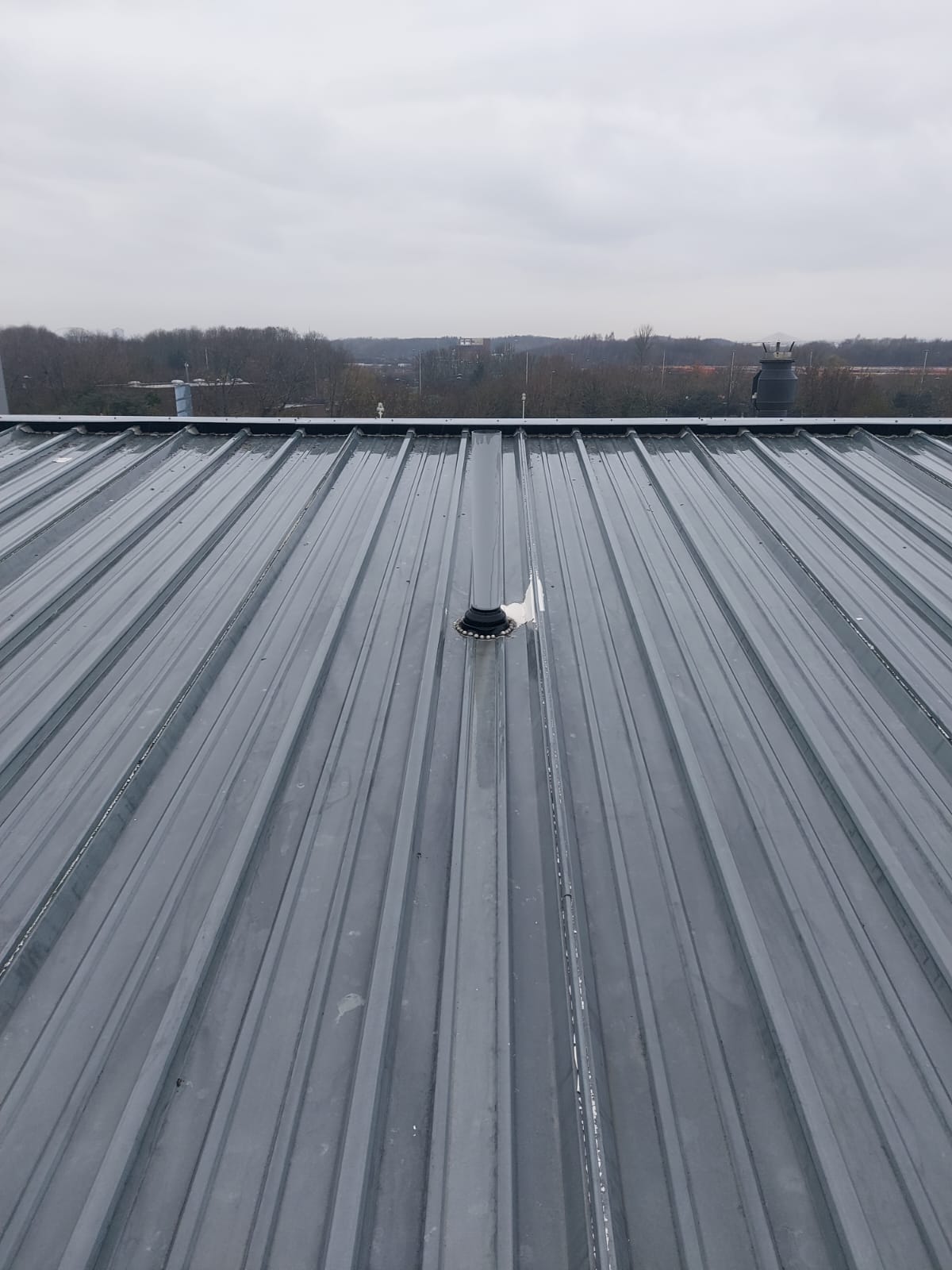 Roof Cleaning & Recoating